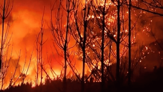Incendios y minería: cómo una discusión nacida en redes sociales se instaló sin sustento&nbsp;técnico